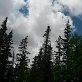 Review photo of Aspen Glade (rio Grande National Forest, Co) by Evan W., May 10, 2017