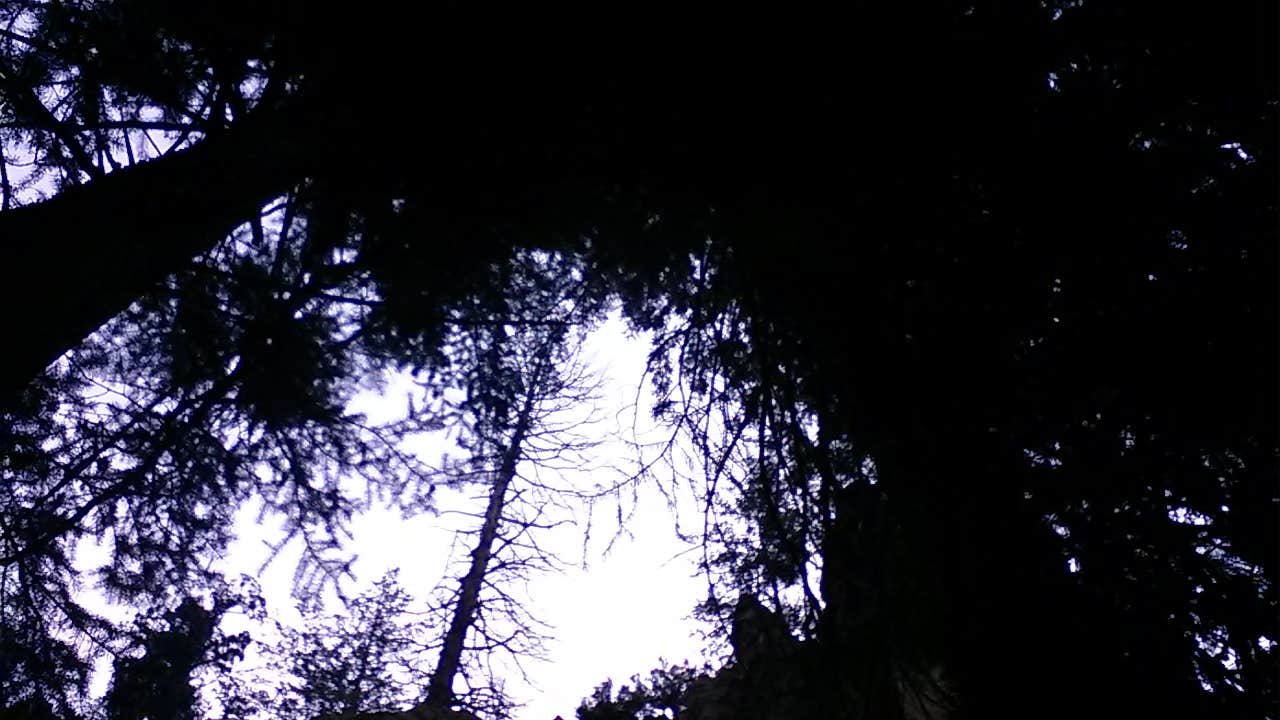 Camper submitted image from Upper Colorado Rec Area - 2