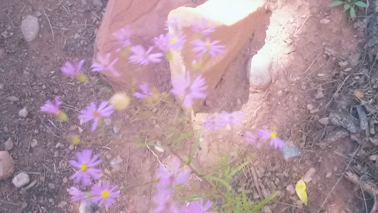 Camper-submitted photo at Illiniwek Campground near Davenport, IA