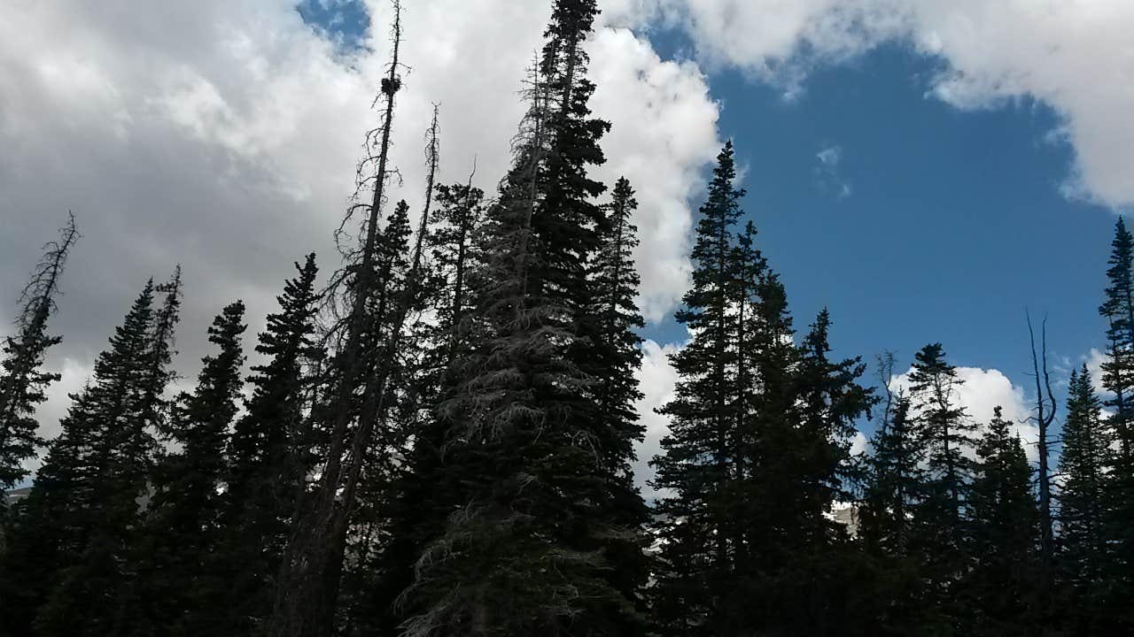 Camper submitted image from Midway Campground - 1