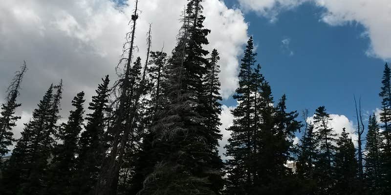 Camper submitted image from Midway Campground