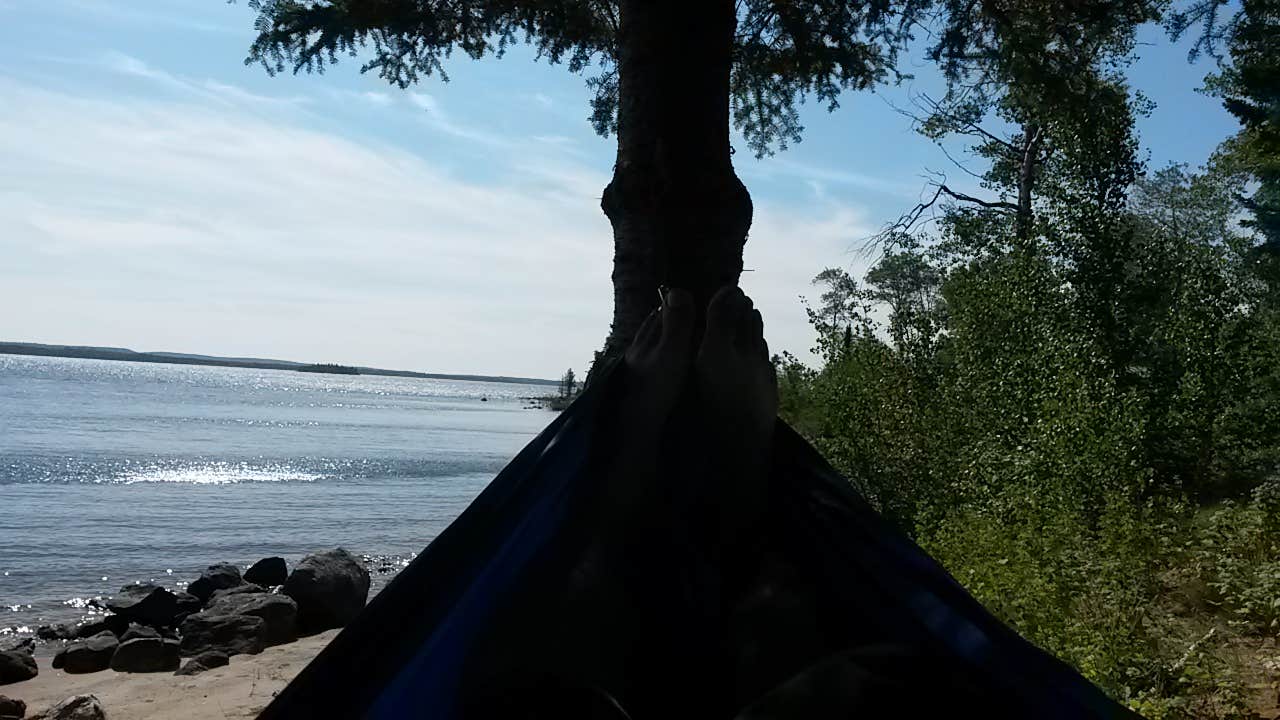 Camper submitted image from Carbon River Camp — Mount Rainier National Park - 5