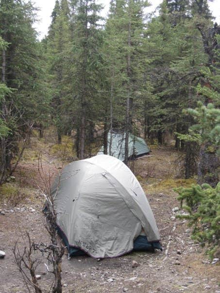 Audry P.'s photo at Riley Creek Campground — Denali National Park near Denali National Park and Preserve