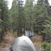 Review photo of Riley Creek Campground — Denali National Park by Audry P., May 10, 2017