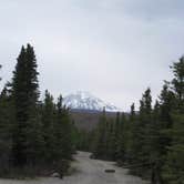 Review photo of Riley Creek Campground — Denali National Park by Audry P., May 10, 2017