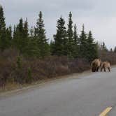 Review photo of Riley Creek Campground — Denali National Park by Audry P., May 10, 2017