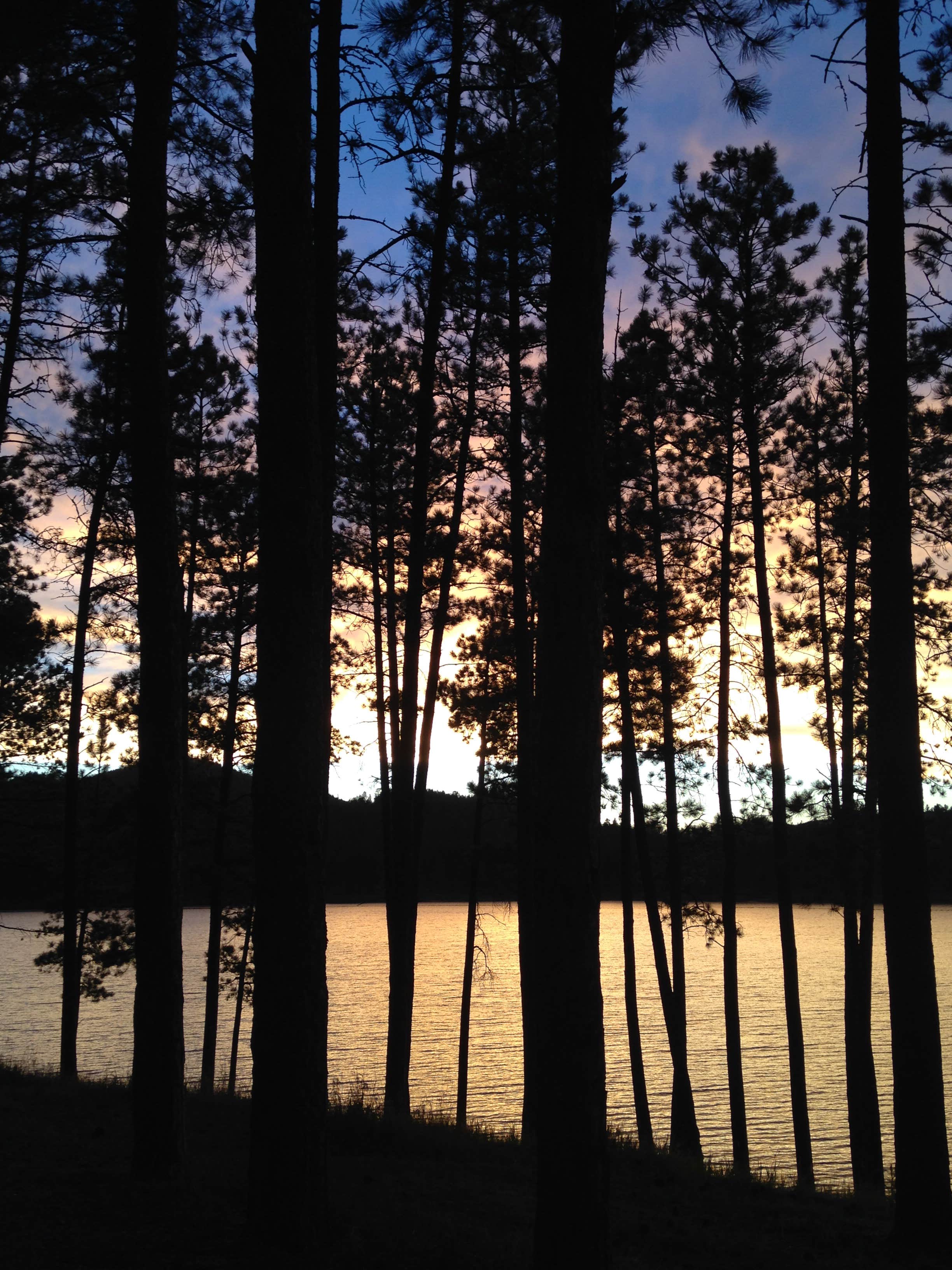 Camper submitted image from Sheridan Lake South Shore Campground - 2
