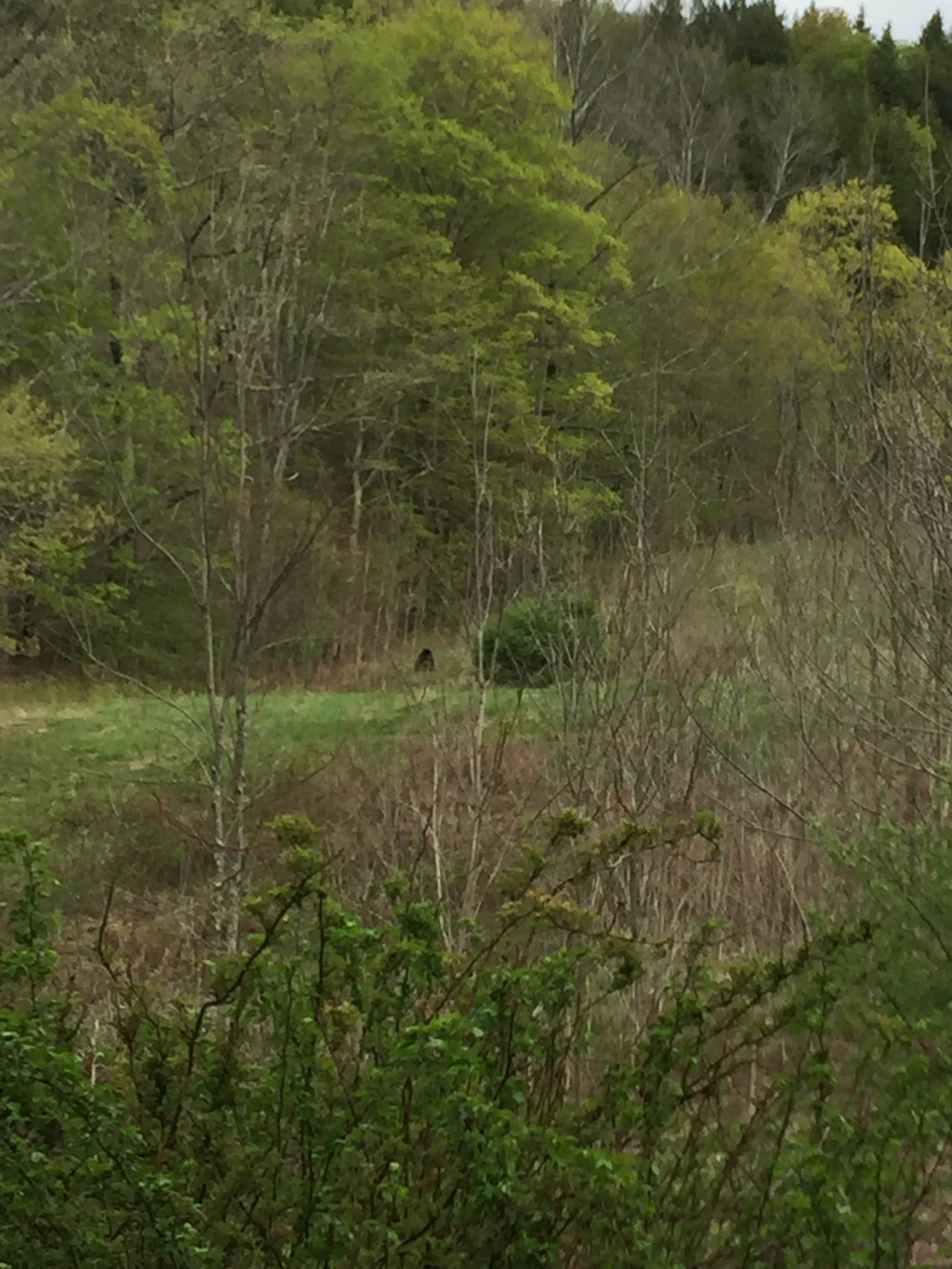 Camper-submitted photo at Woodland Valley Campground — DEC near Ulster Park, NY