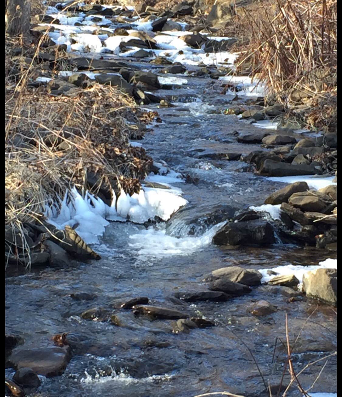 Water