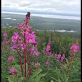 Review photo of Eagle River Campground - Chugach State Park by Melisa A., May 10, 2017