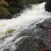 Review photo of Alsea Falls by Bjorn S., May 10, 2017
