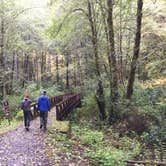 Review photo of Alsea Falls by Bjorn S., May 10, 2017