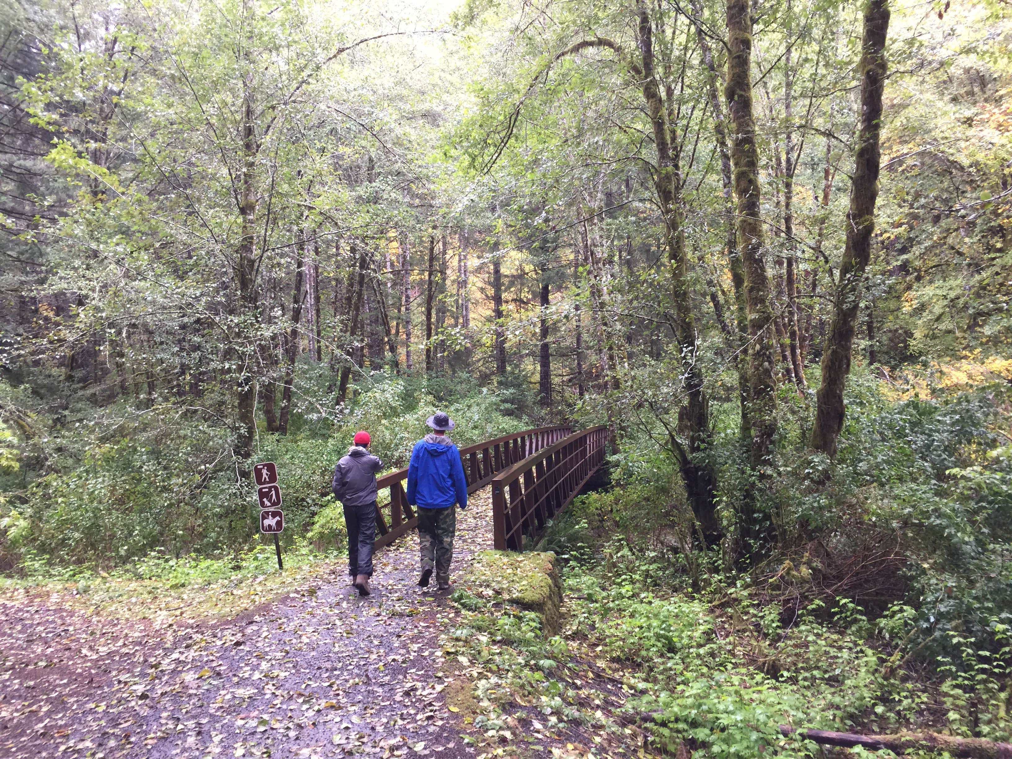 Camper submitted image from Alsea Falls - 5