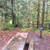 Review photo of Alsea Falls by Bjorn S., May 10, 2017