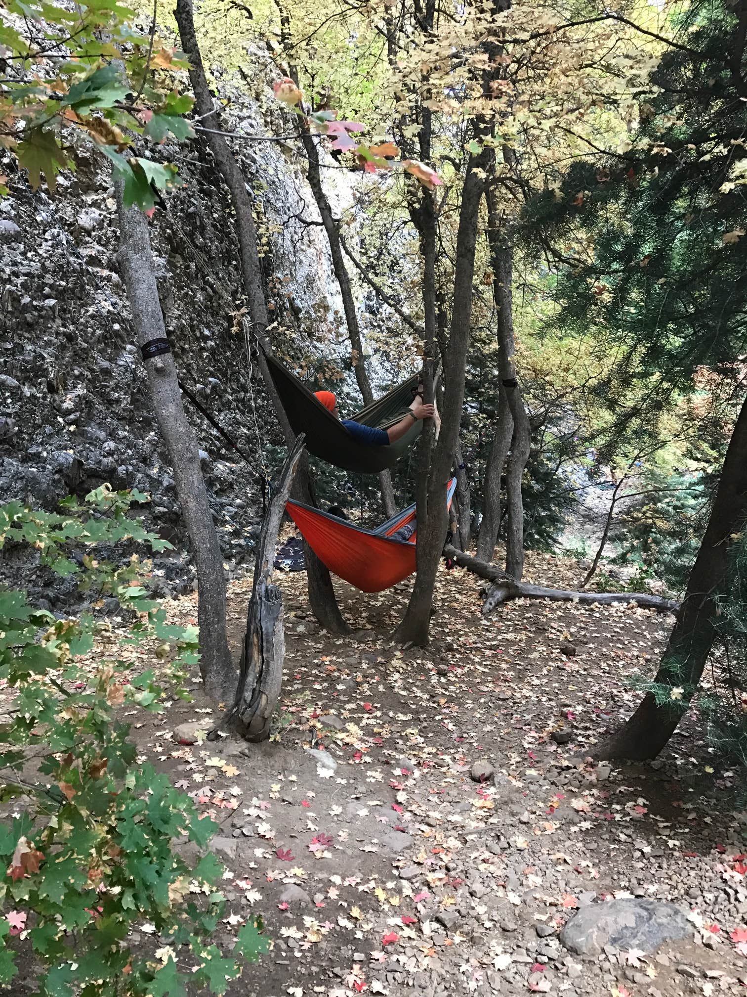 Camper submitted image from Maple Canyon - 3