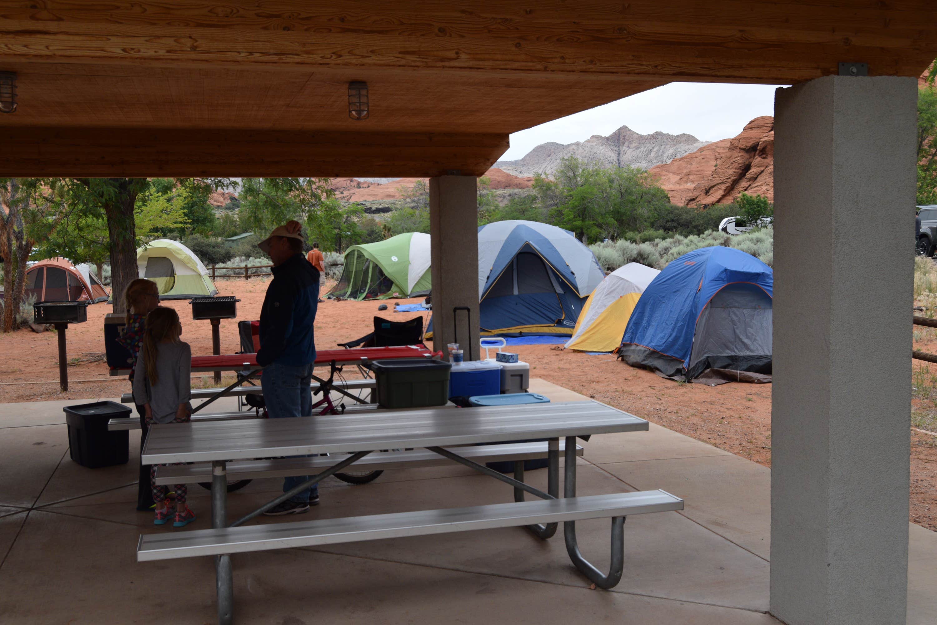 Camper submitted image from Snow Canyon State Park Campground - 3