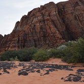 Review photo of Snow Canyon State Park Campground by Rebecca J., May 10, 2017