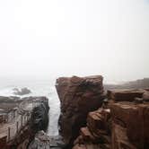 Review photo of Blackwoods Campground — Acadia National Park by Elliott B., May 3, 2017