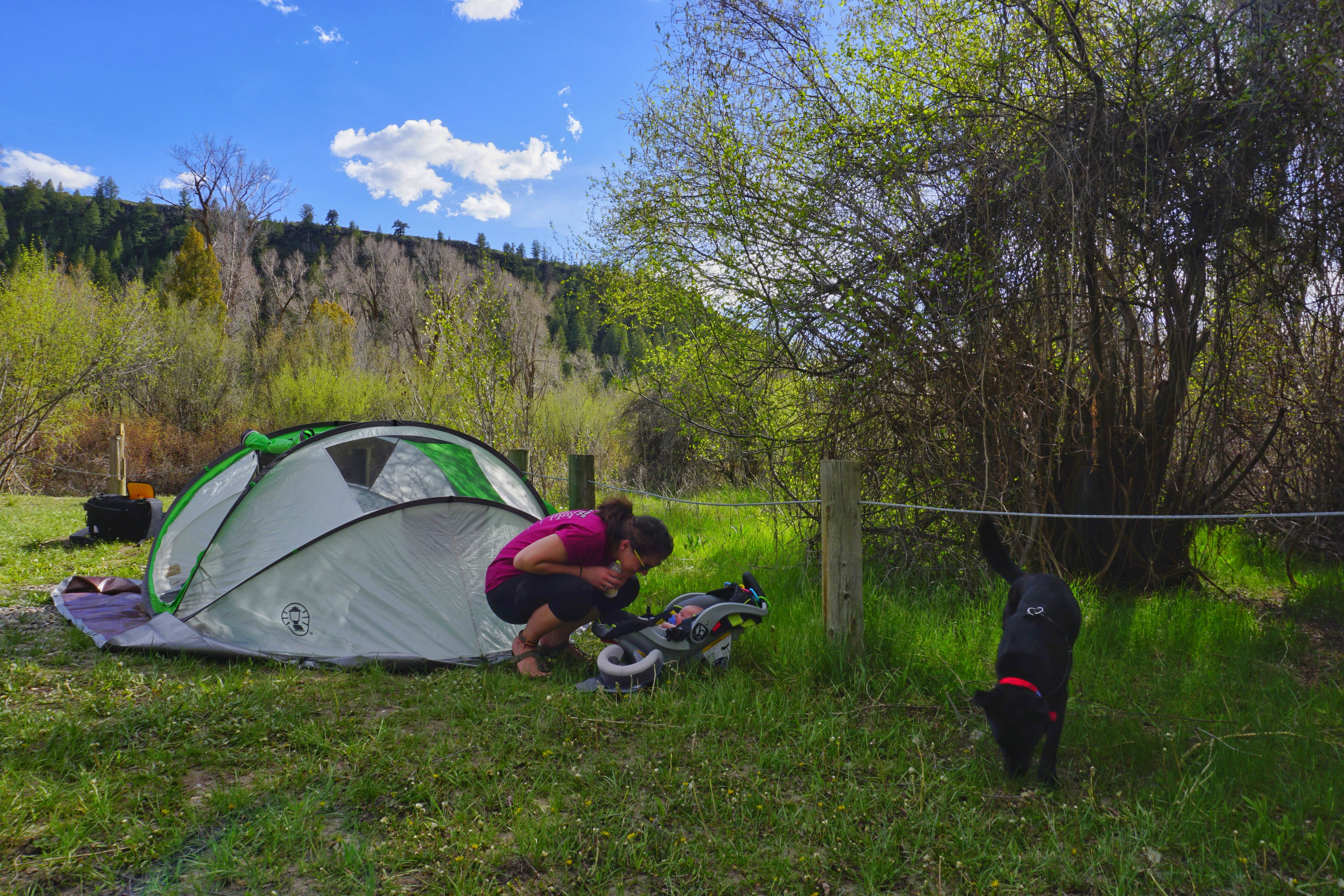 Camper submitted image from Wolf Flats Recreation Area - 3