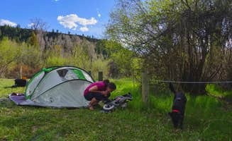 Tim R.'s photo of a dispersed camping area at Wolf Flats Recreation Area near Ammon, ID