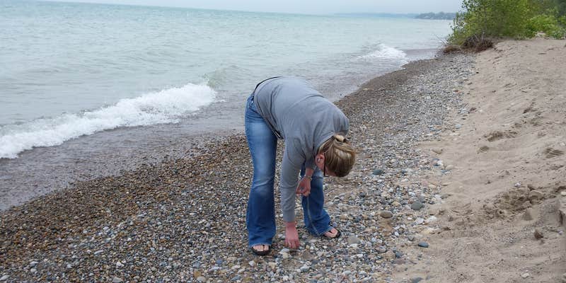 Camper submitted image from Lakeport State Park Campground