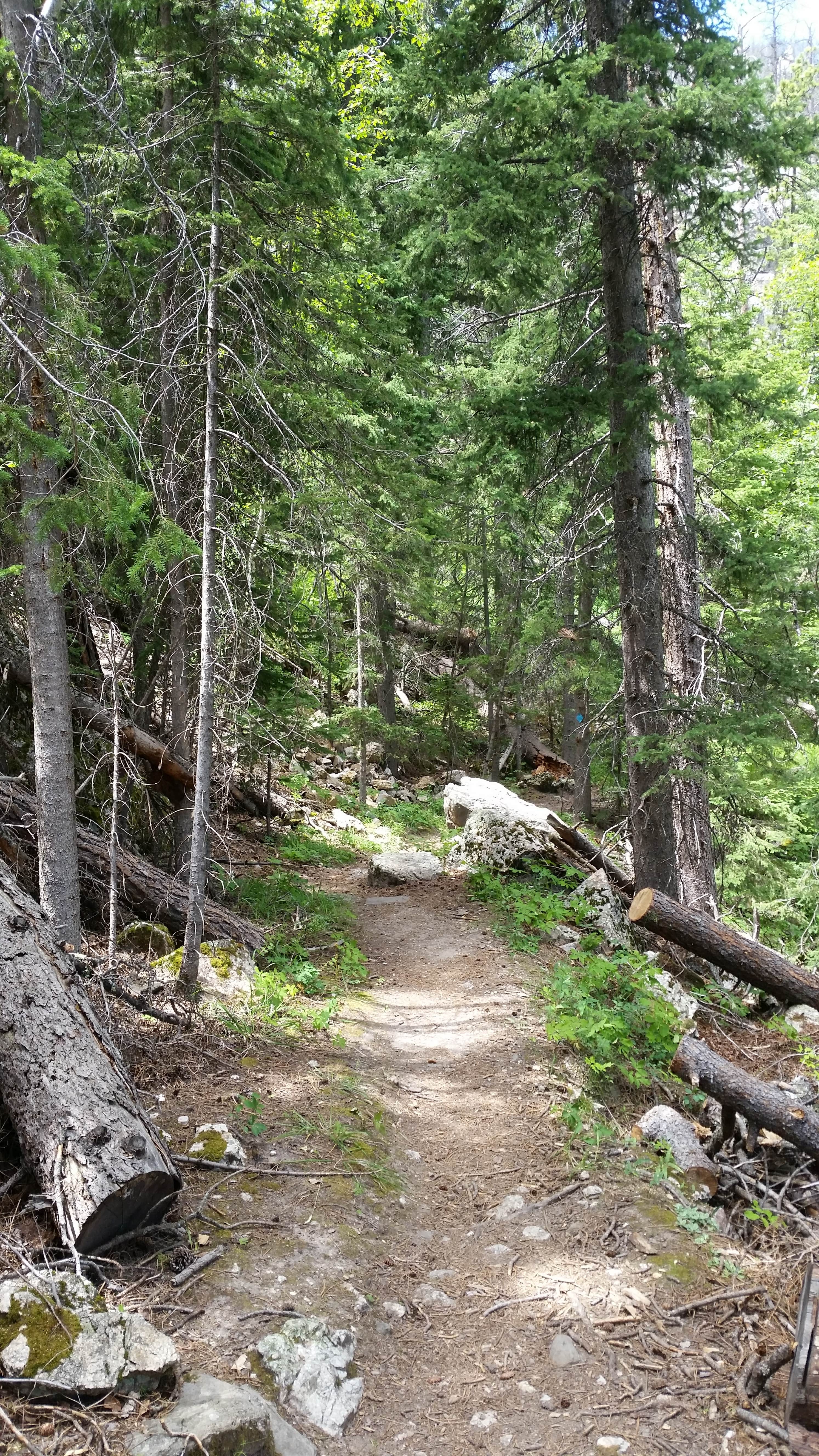 Camper submitted image from Sylvan Lake Campground — Custer State Park - 5