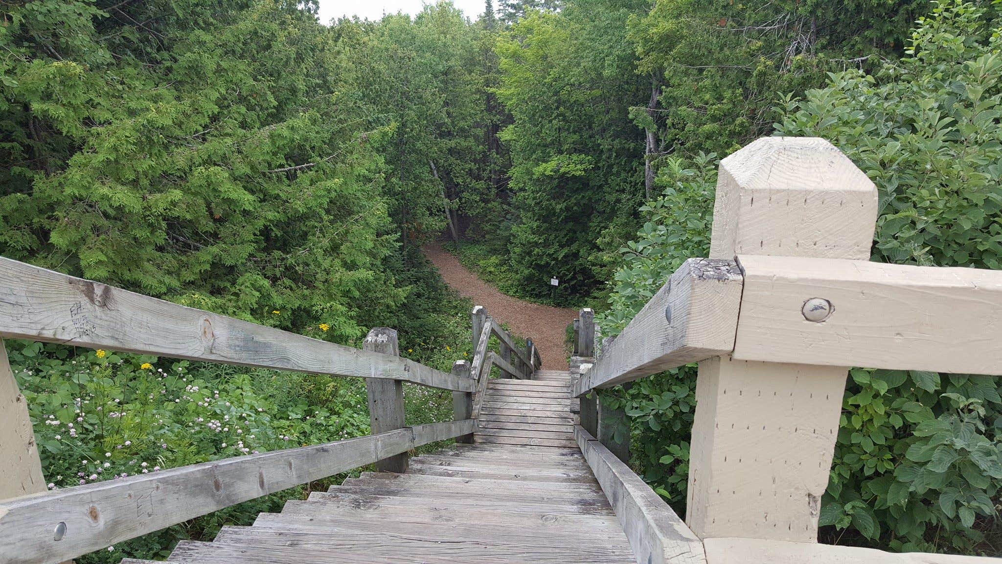 Camper-submitted photo at Straits State Park Campground in Michigan