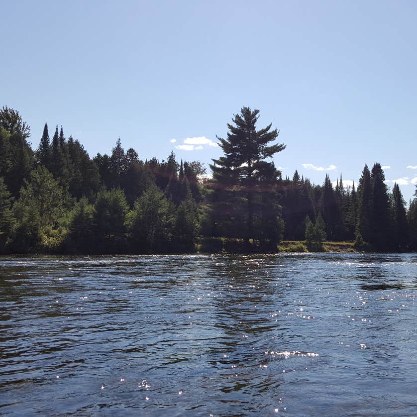 Alcona Park Camping | The Dyrt