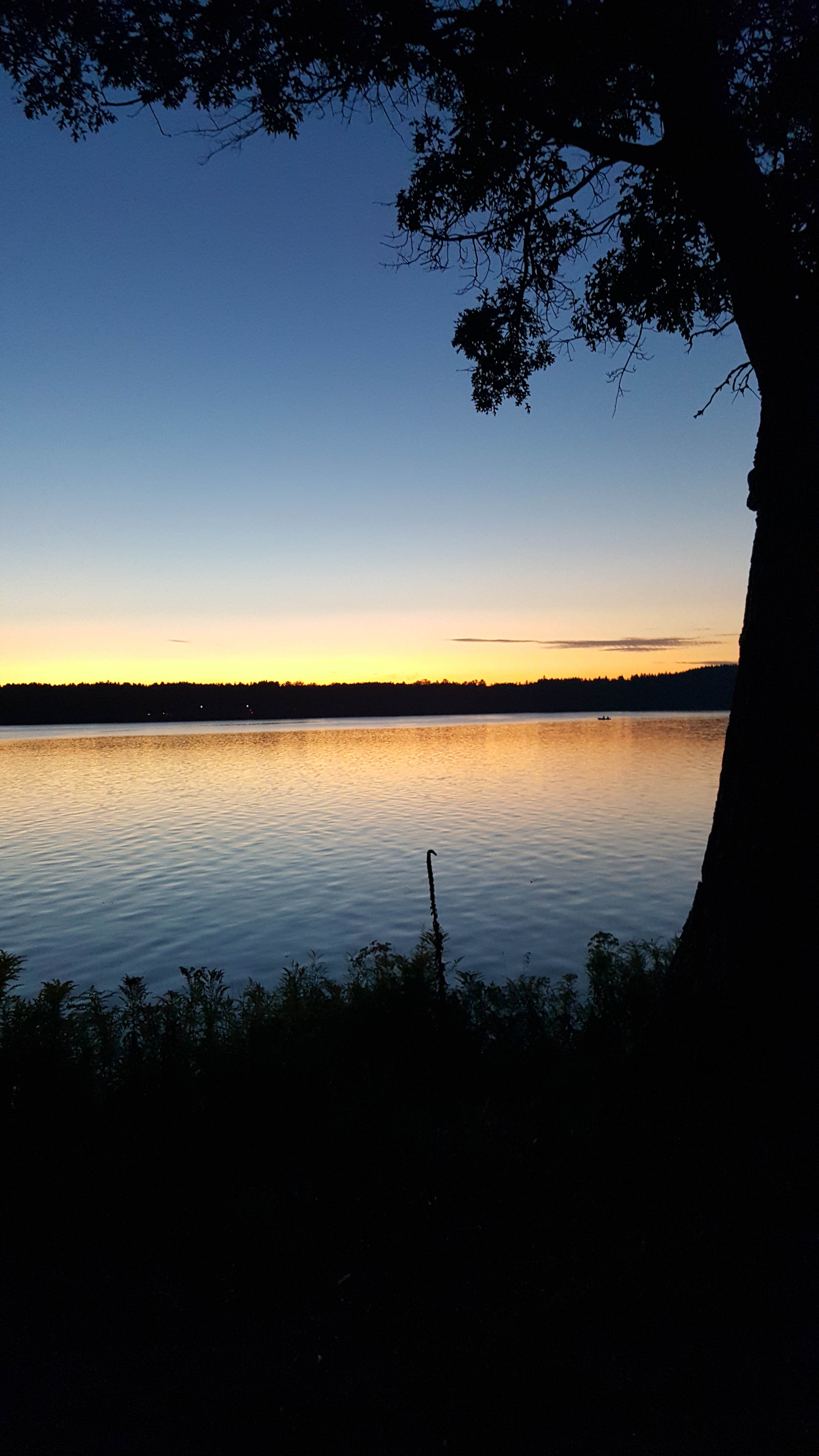 Camper-submitted photo at Alcona Park near Curran, MI