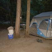 Review photo of Petoskey State Park Campground by Stephanie C., May 11, 2017