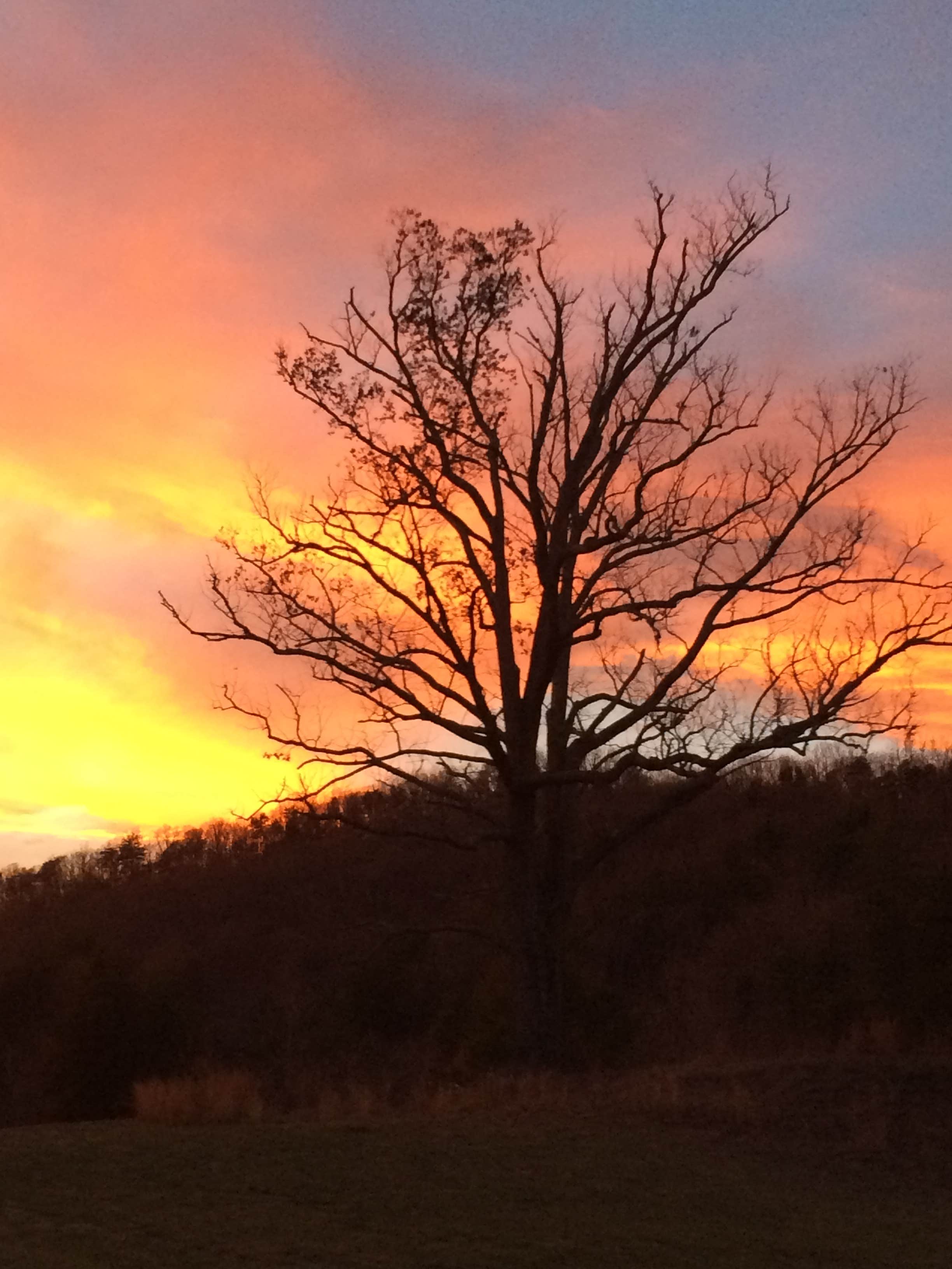 Camper submitted image from South Mountains State Park Campground - 2