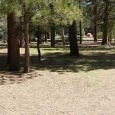 Review photo of Serrano by Brittany N., May 11, 2017