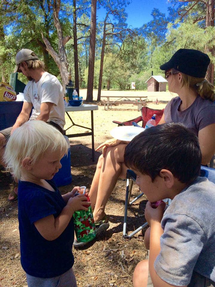 Camper submitted image from Timber Camp Recreation Area and Group Campgrounds - 3