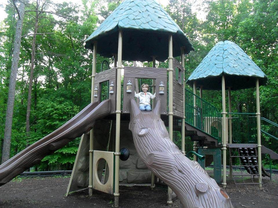 Camper-submitted photo at Salacoa Creek Park near Rydal, GA