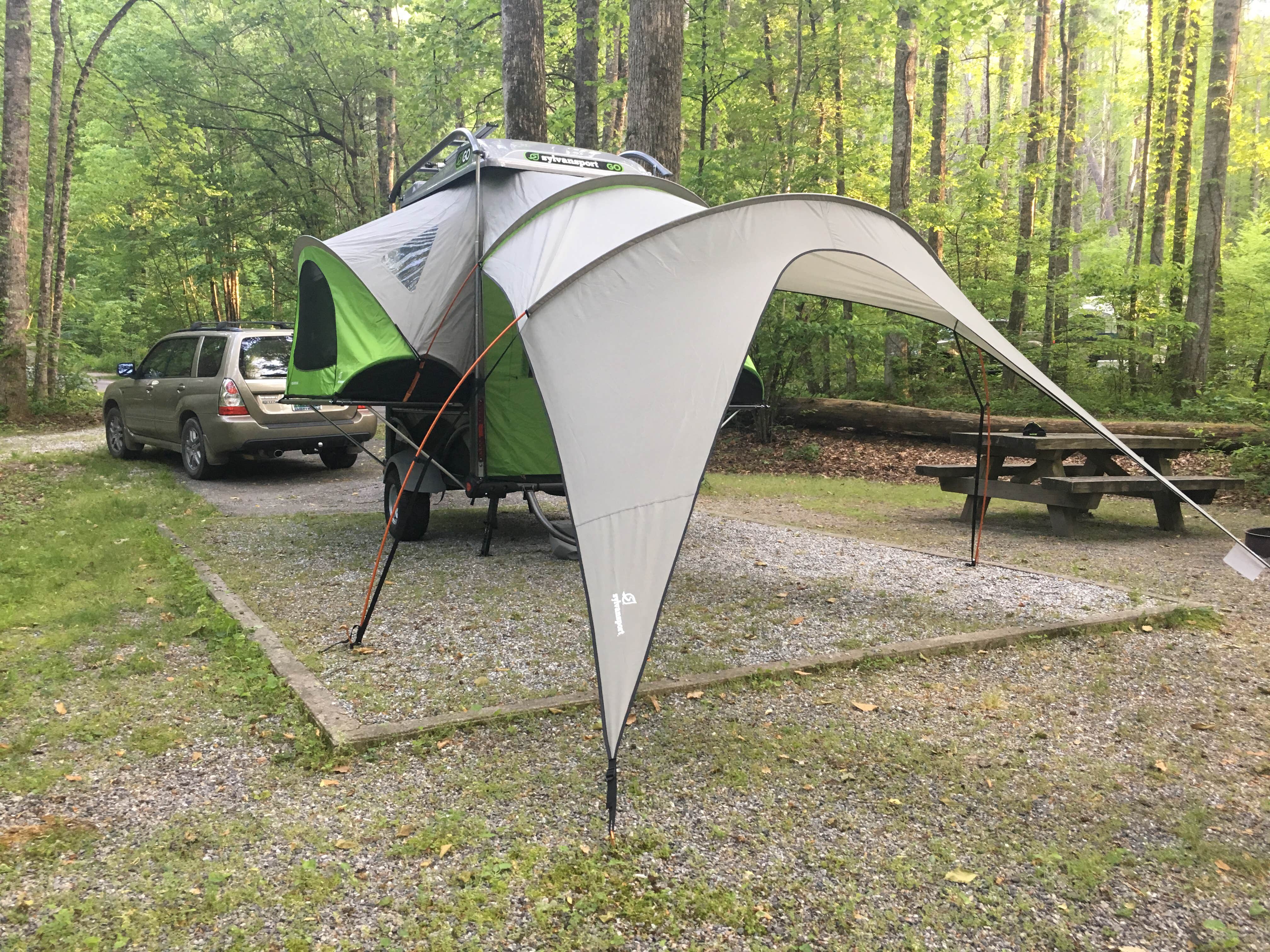 Austin R.'s photo at Davidson River Campground near Horse Shoe, NC