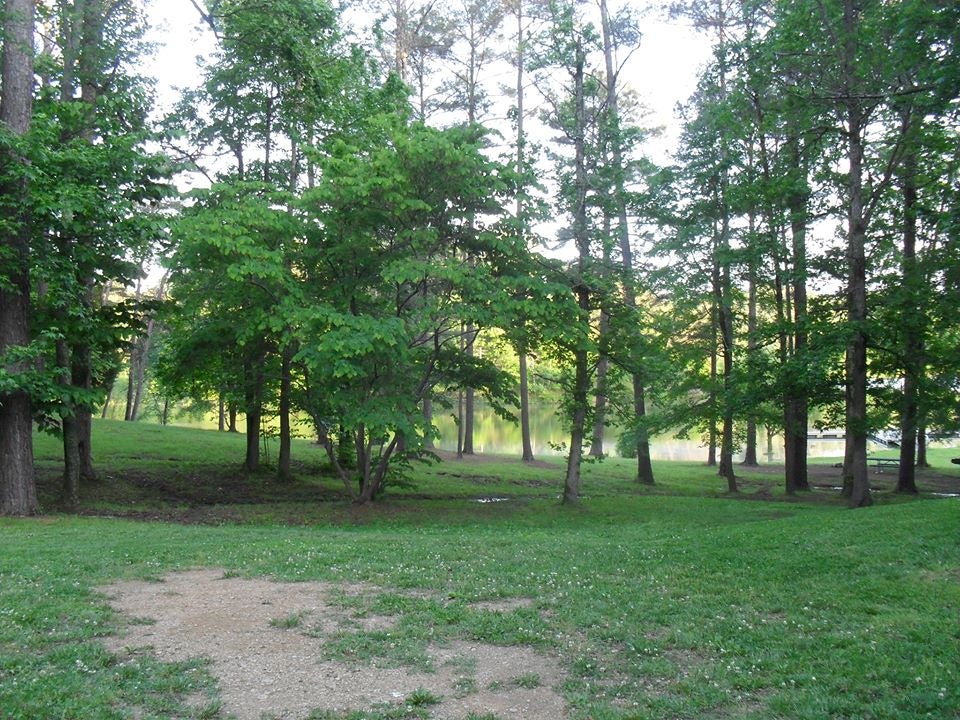 Camper submitted image from Salacoa Creek Park - 1
