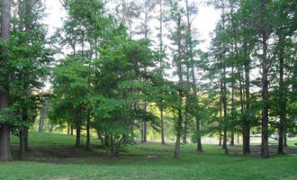 Camping near Pocket: Salacoa Creek Park, Calhoun, Georgia