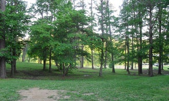 Salacoa Creek Park