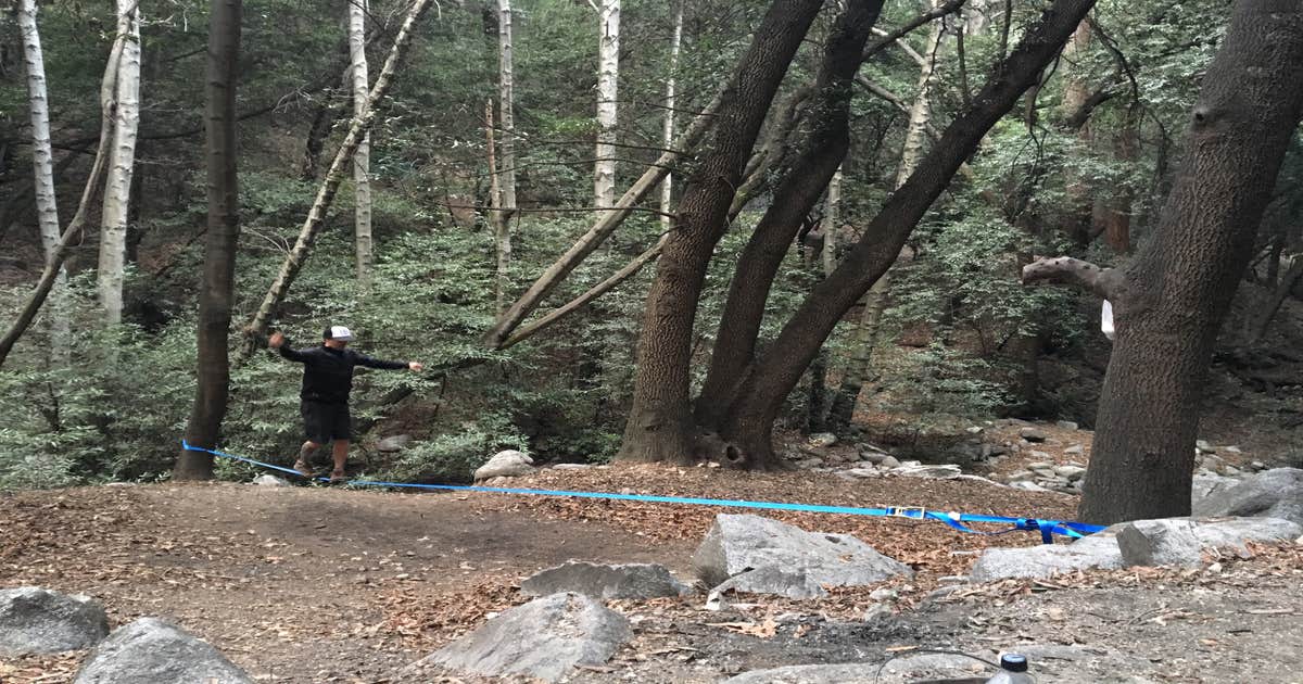 Spruce Grove Trail Campground - TEMPORARILY CLOSED DUE TO FIRE