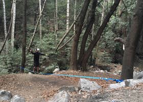 Spruce Grove Trail Campground - TEMPORARILY CLOSED DUE TO FIRE