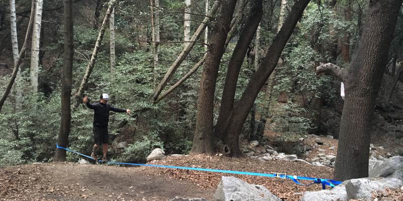 Camper submitted image from Spruce Grove Trail Campground - TEMPORARILY CLOSED DUE TO FIRE