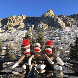 Our sock monkeys go everywhere with us!