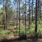 Review photo of Falling Waters State Park Campground by Elliott B., May 11, 2017