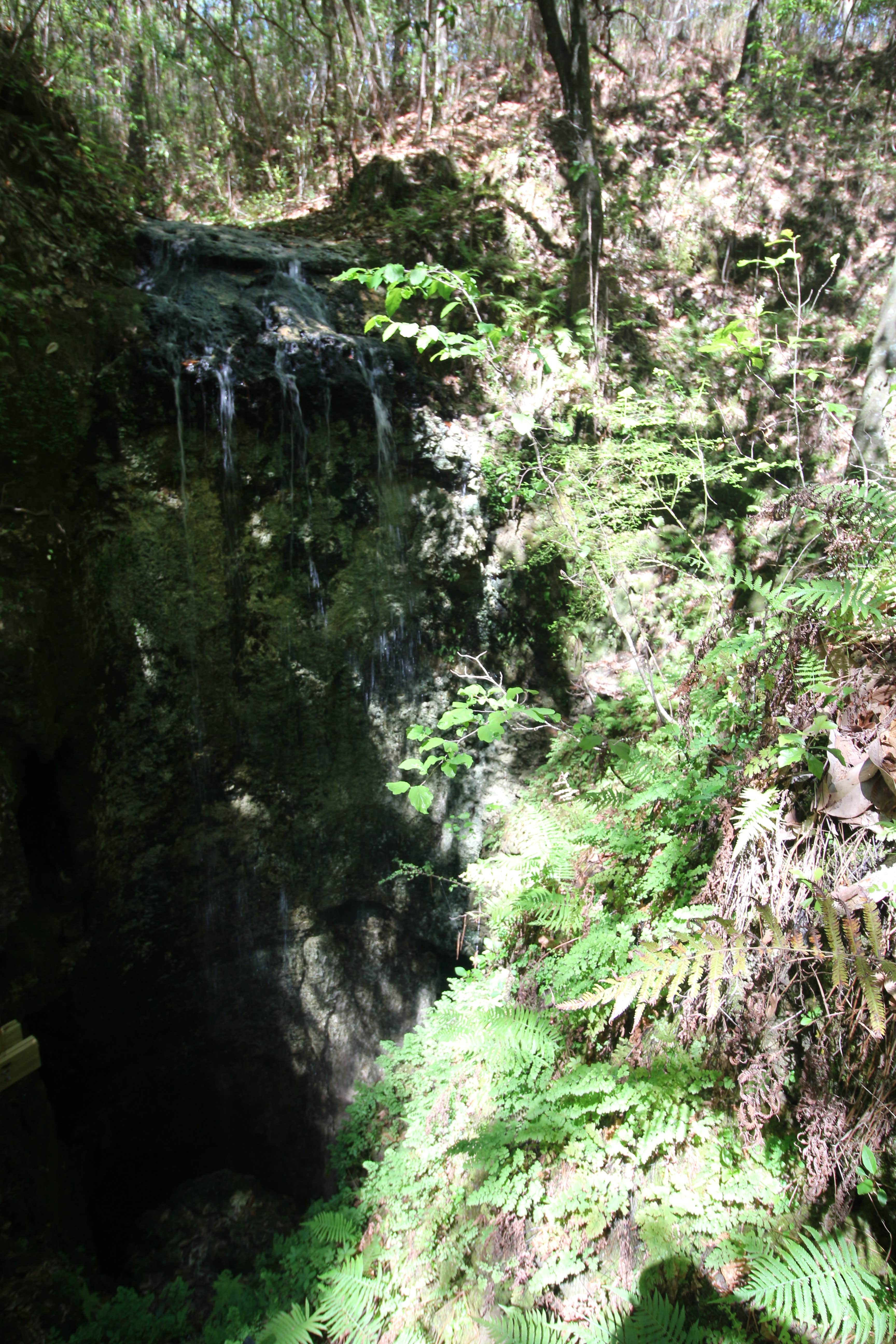 Camper submitted image from Falling Waters State Park Campground - 3