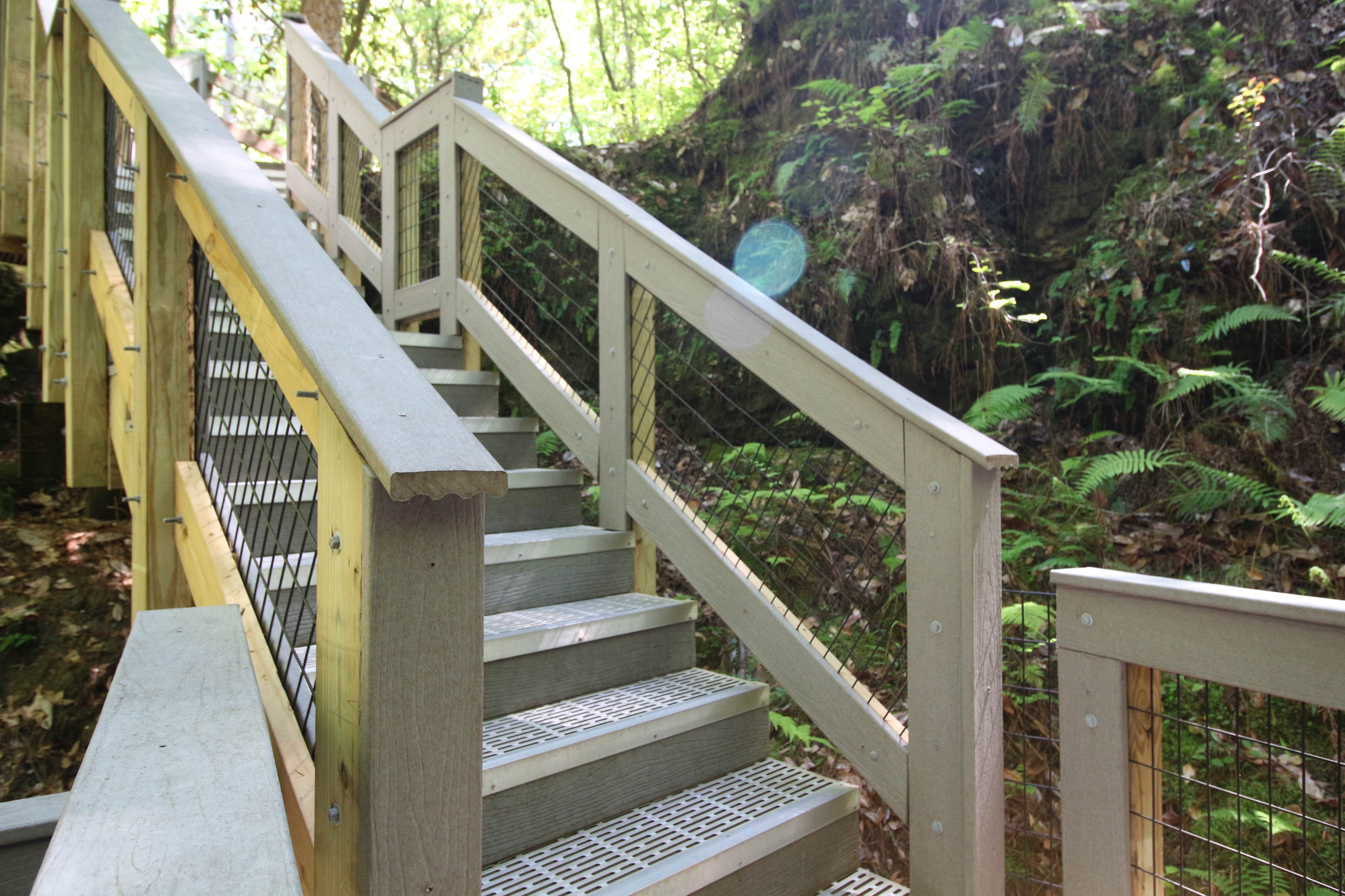 Camper submitted image from Falling Waters State Park Campground - 4