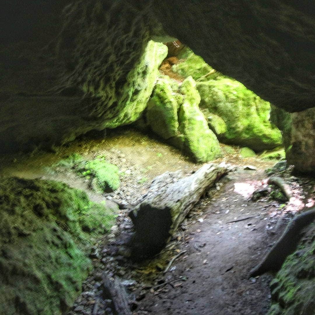 Camper submitted image from Blue Hole Campground — Florida Caverns State Park - 4
