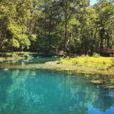 Review photo of Blue Hole Campground — Florida Caverns State Park by Elliott B., May 11, 2017