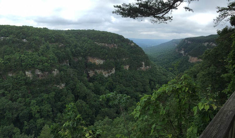 Camper submitted image from Cloudland Canyon State Park Campground - 2