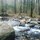 Review photo of Cosby Campground — Great Smoky Mountains National Park by Jessica L., June 17, 2016