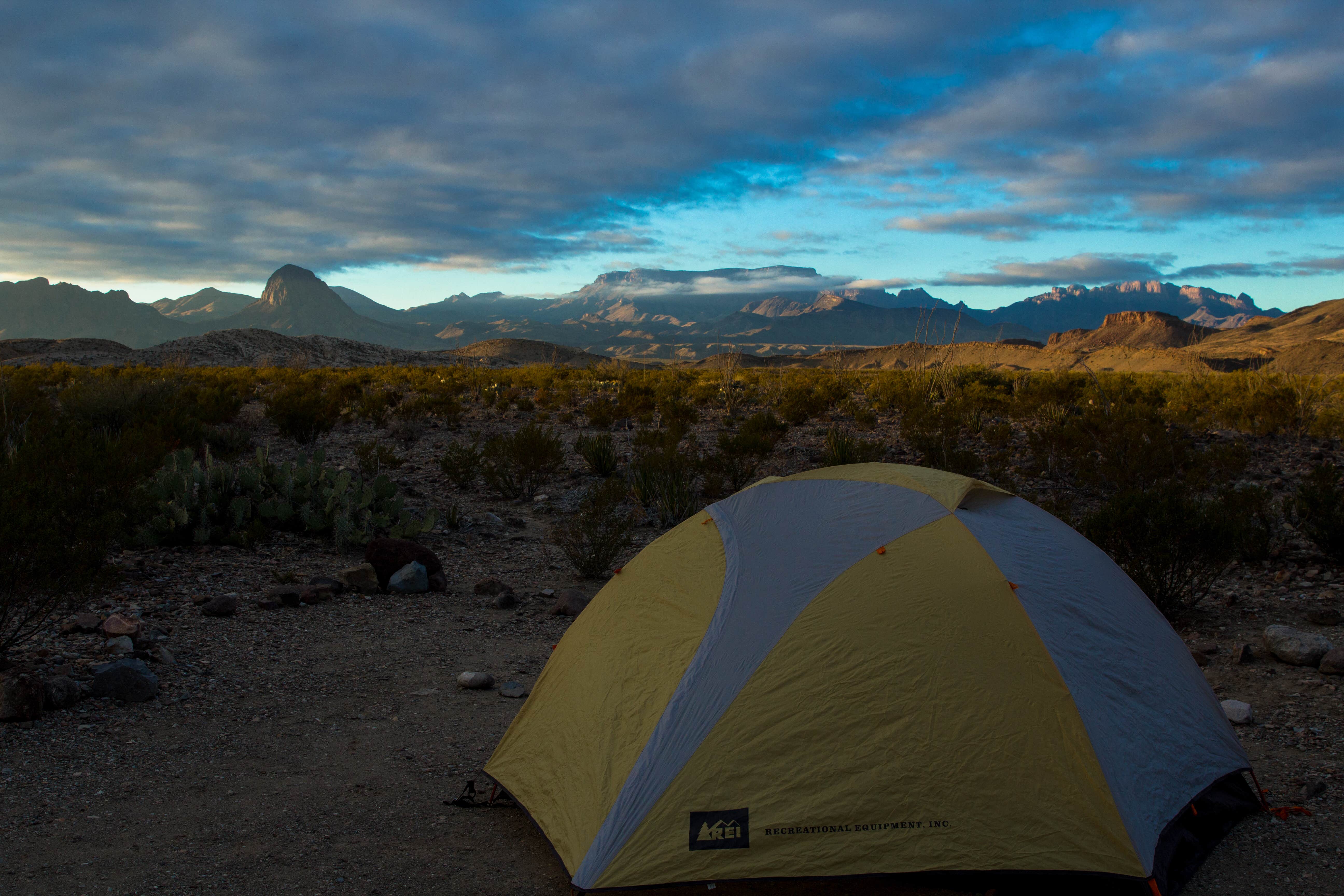 Camper submitted image from Fresno — Big Bend National Park - 3